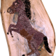 Pferd auf den Hinterbeinen